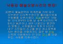 낙동강 폐놀오염 사건 3페이지