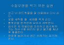 낙동강 폐놀오염 사건 10페이지