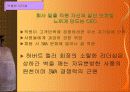 Southwest Airlines의 성공사례 18페이지