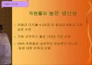 Southwest Airlines의 성공사례 20페이지