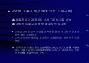 소비자 피해 구제제도의 문제점과 개선방안 11페이지