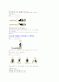 바른자세와 건강 3페이지