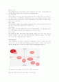 [마케팅 사례분석] 3300원의 신화 미샤 화장품의 마케팅 전략 12페이지
