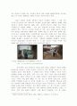 서구 중심주의적 글로벌리제이션에 대한 대안책 연구 10페이지
