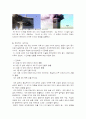 테러범죄의 실태분석과 대응방안 13페이지