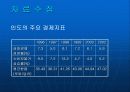 대우자동차 인도진출 실패 11페이지