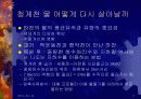 청계천 재자연화(복원)을 둘러싼 갈등과 쟁점 11페이지