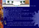 청계천 재자연화(복원)을 둘러싼 갈등과 쟁점 15페이지