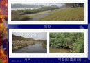 청계천 재자연화(복원)을 둘러싼 갈등과 쟁점 17페이지