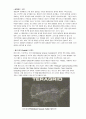 그리드컴퓨팅(Grid Computing) 14페이지
