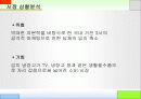 딤채 광고 크리에이티브 전략 기획서 8페이지