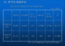 한국과일본의 투자현황비교 분석 21페이지