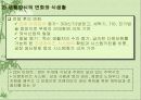일본의 음식문화 3페이지
