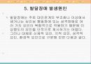 발달장애와 내부장애(심장장애,신장장애)의 직업재활 18페이지