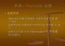 레이놀즈 실험 2페이지