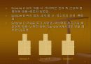 레이놀즈 실험 7페이지