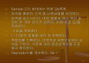 레이놀즈 실험 8페이지
