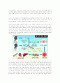 황우석 박사에 대해서.. 7페이지