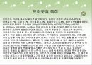 토마토의 식물학적특징등 여러가지 자료수집하여 프리젠테이션 7페이지
