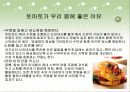 토마토의 식물학적특징등 여러가지 자료수집하여 프리젠테이션 12페이지
