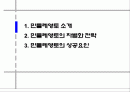 민들레영토의 글로벌 전략 대안 제시 2페이지