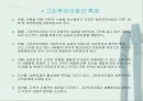 반야마을의 그린 투어리즘 도입 9페이지