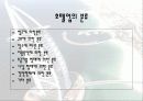 호텔업분석 9페이지