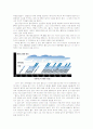 엘리뇨의 관한 REPORT 4페이지