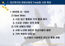21세기 항공사의 트렌드와 미래전망 10페이지