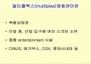 CINUS 사례분석자료_멀티플랙스 영화관이란무엇인가 3페이지
