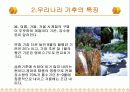 창업마케팅_사계절착용 가능 다기능 점퍼 6페이지