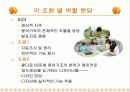 창업마케팅_사계절착용 가능 다기능 점퍼 13페이지