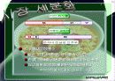 삼양라면 마케팅활동 발표자료 15페이지