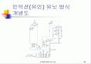공조방식(건축설비) 24페이지