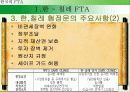한국의 FTA전략 7페이지
