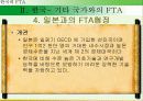 한국의 FTA전략 17페이지