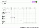 [팀 프로젝트] LG DIY . COM 사업 계획서 39페이지