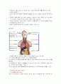 간경변증(문헌고찰-그림다수포함) 4페이지