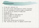 토양생물군의 성분자료 11페이지