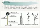 토양생물군의 성분자료 34페이지