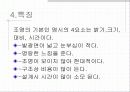 건축화조명 18페이지