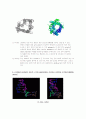 aquaporin의 분석과 생화학 분자의 여러가지 구조의 특징 4페이지