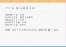 스프리스 광고기획서 17페이지