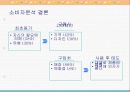 스프리스 광고기획서 20페이지