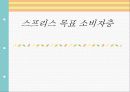 스프리스 광고기획서 27페이지