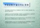 부영양화의 원인과 해결방안(녹조,적조현상포함) 4페이지