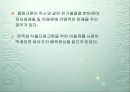 부영양화의 원인과 해결방안(녹조,적조현상포함) 20페이지