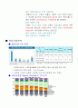 빈폴의 포지셔닝 전락 4페이지