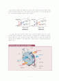 향기공조, Green Building,Clean Room,Bio-clean Room,전열교환기(Total Heat Exchanger) 7페이지