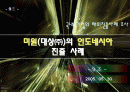 [A+팀프로젝트]미원의 해외진출 사례 1페이지